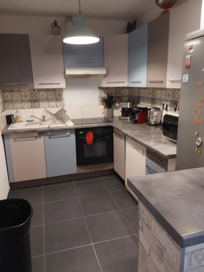 Appartement Cocooning Ars-sur-Moselle المظهر الخارجي الصورة
