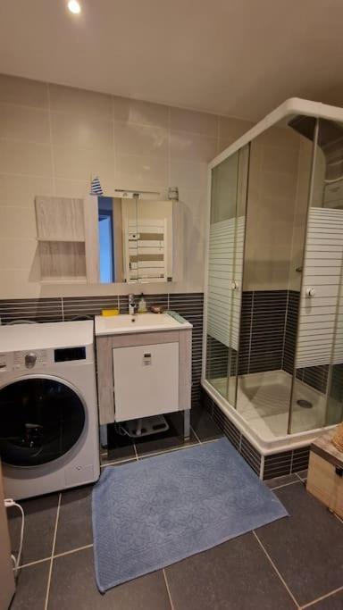 Appartement Cocooning Ars-sur-Moselle المظهر الخارجي الصورة